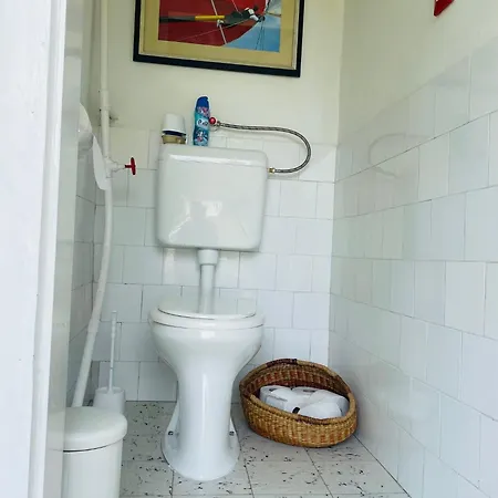Retrospektiv Paloznak