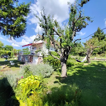 Retrospektiv * Paloznak