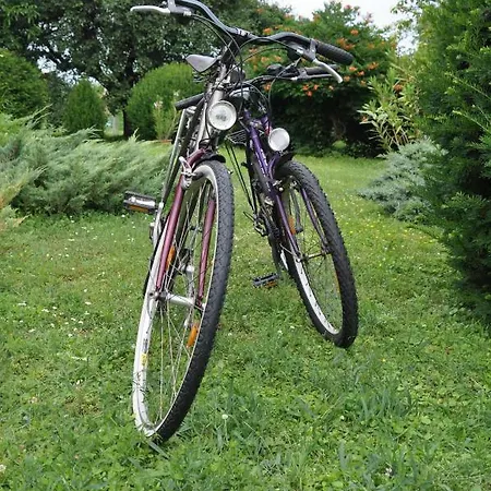 Ferienhaus Retrospektiv *