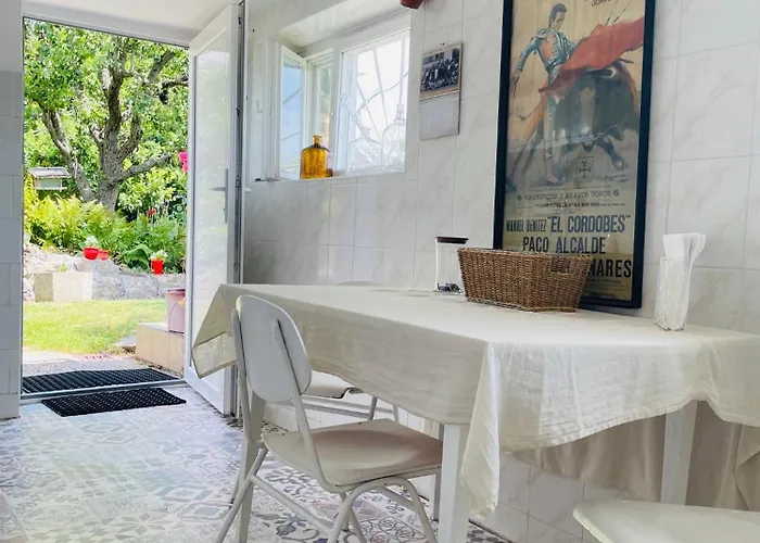 Retrospektiv Feriehus Paloznak