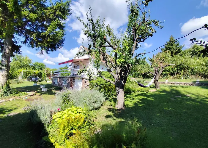 Retrospektiv * Paloznak