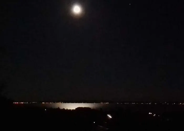 Retrospektiv * Paloznak