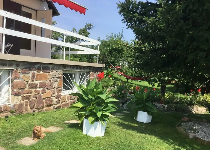 Retrospektiv Paloznak